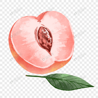 杏吧探花下载